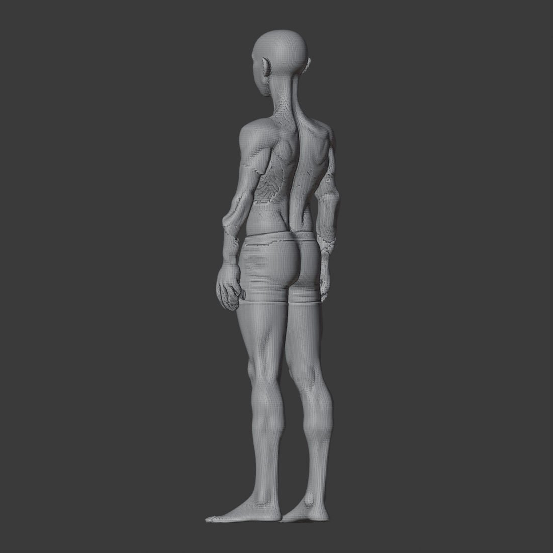 V21_BOUNDED_ROUNDTRIP_az225.png
