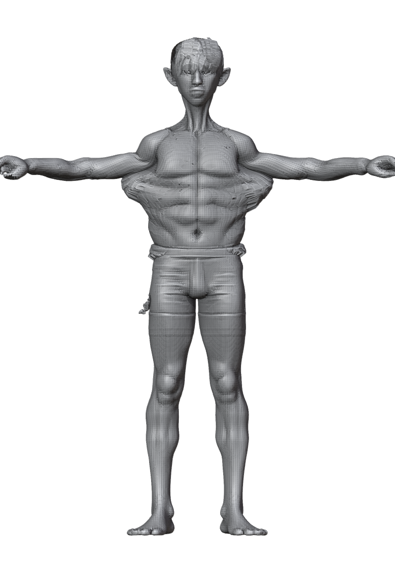 ROM_01_shoulder_abduct_front.png