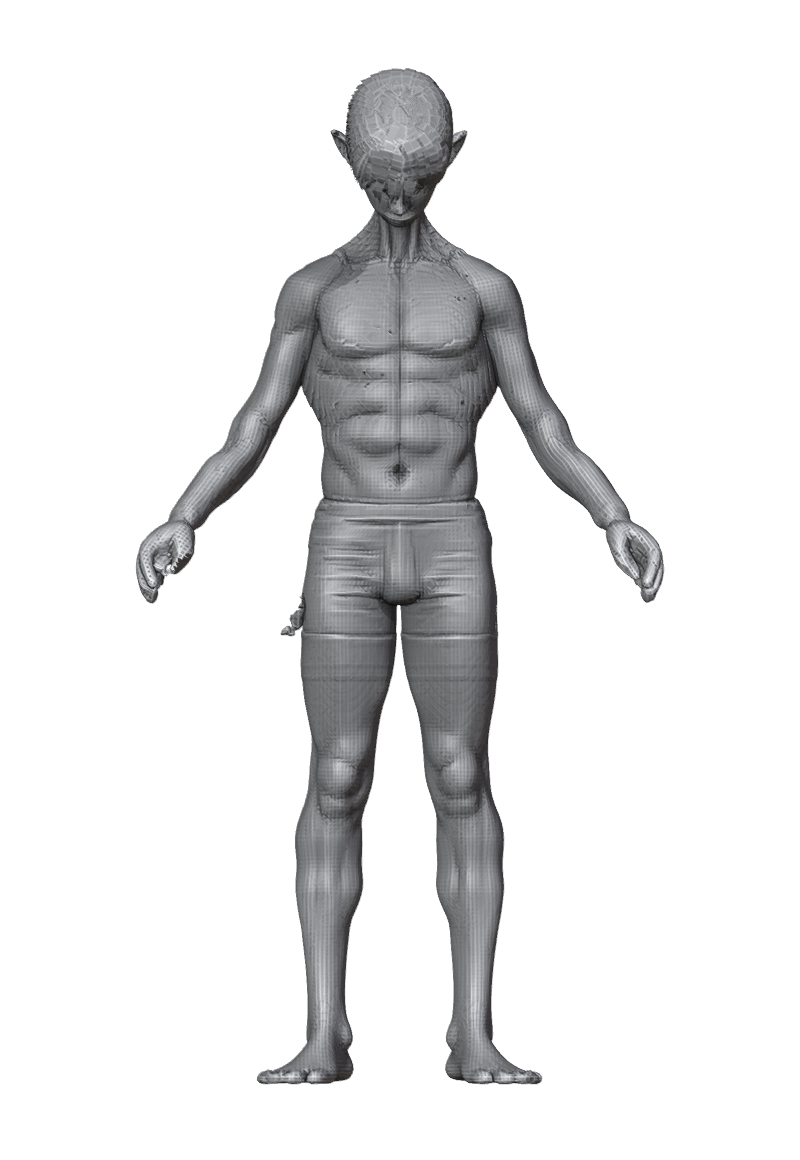 ROM_05_neck_pitch_front.png