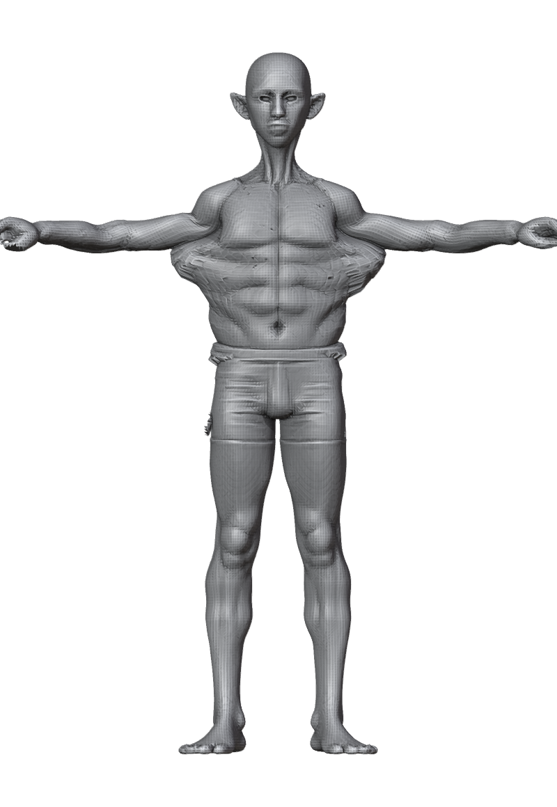 ROM_01_shoulder_abduct_front.png