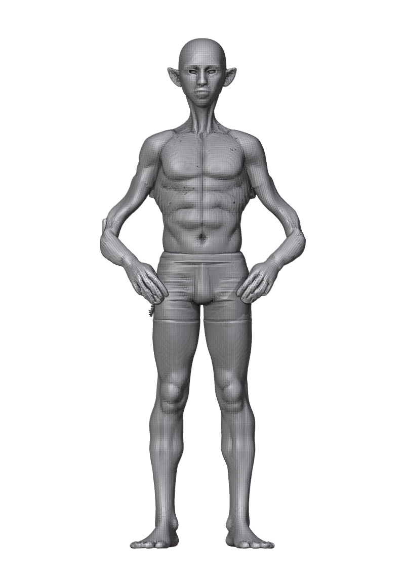 ROM_03_elbow_flex_front.png