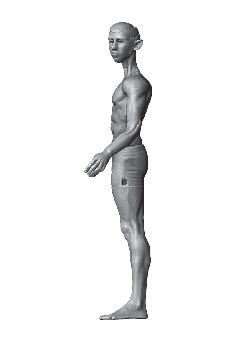 ROM_04_neck_yaw_side.png
