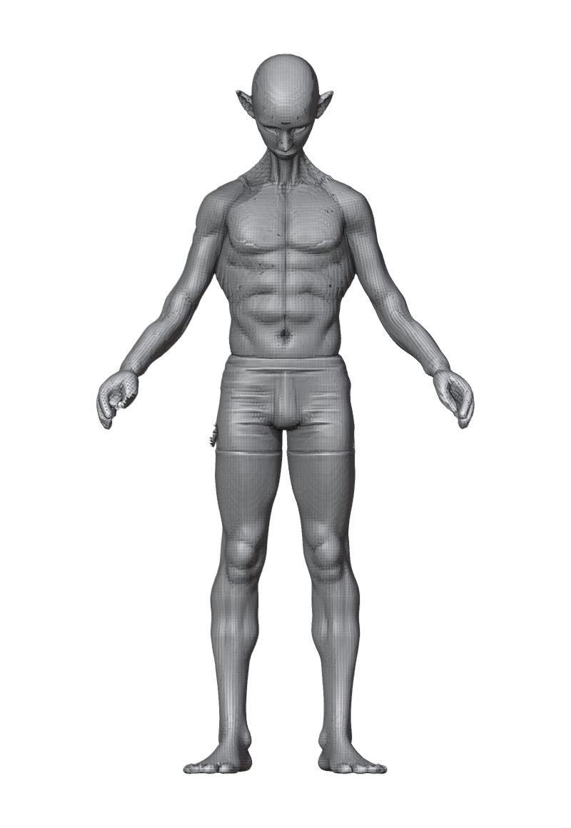 ROM_05_neck_pitch_front.png