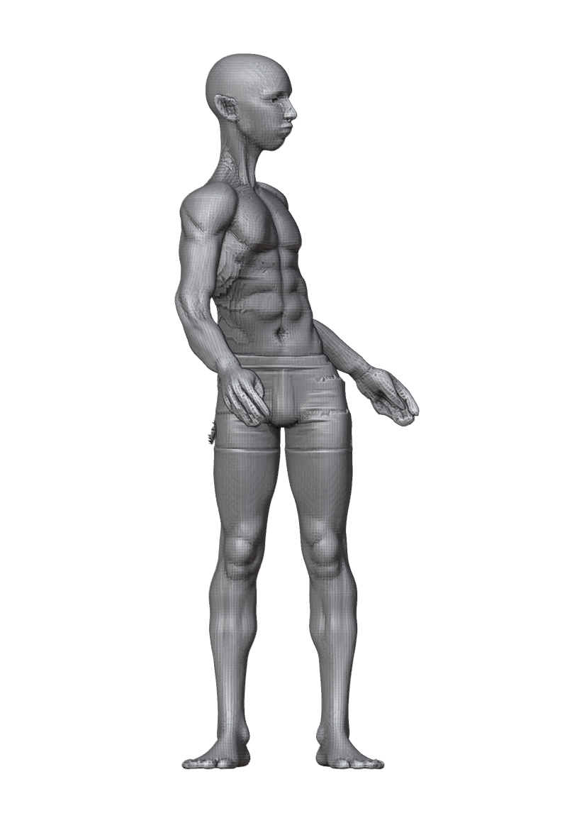 ROM_08_spine_twist_front.png