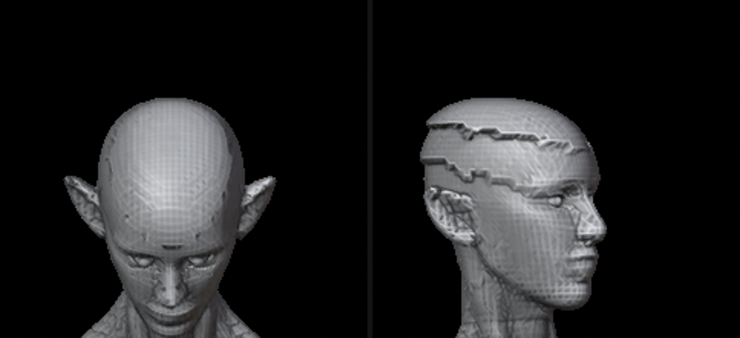 CROWN_TEAR_SPOTCHECK.png