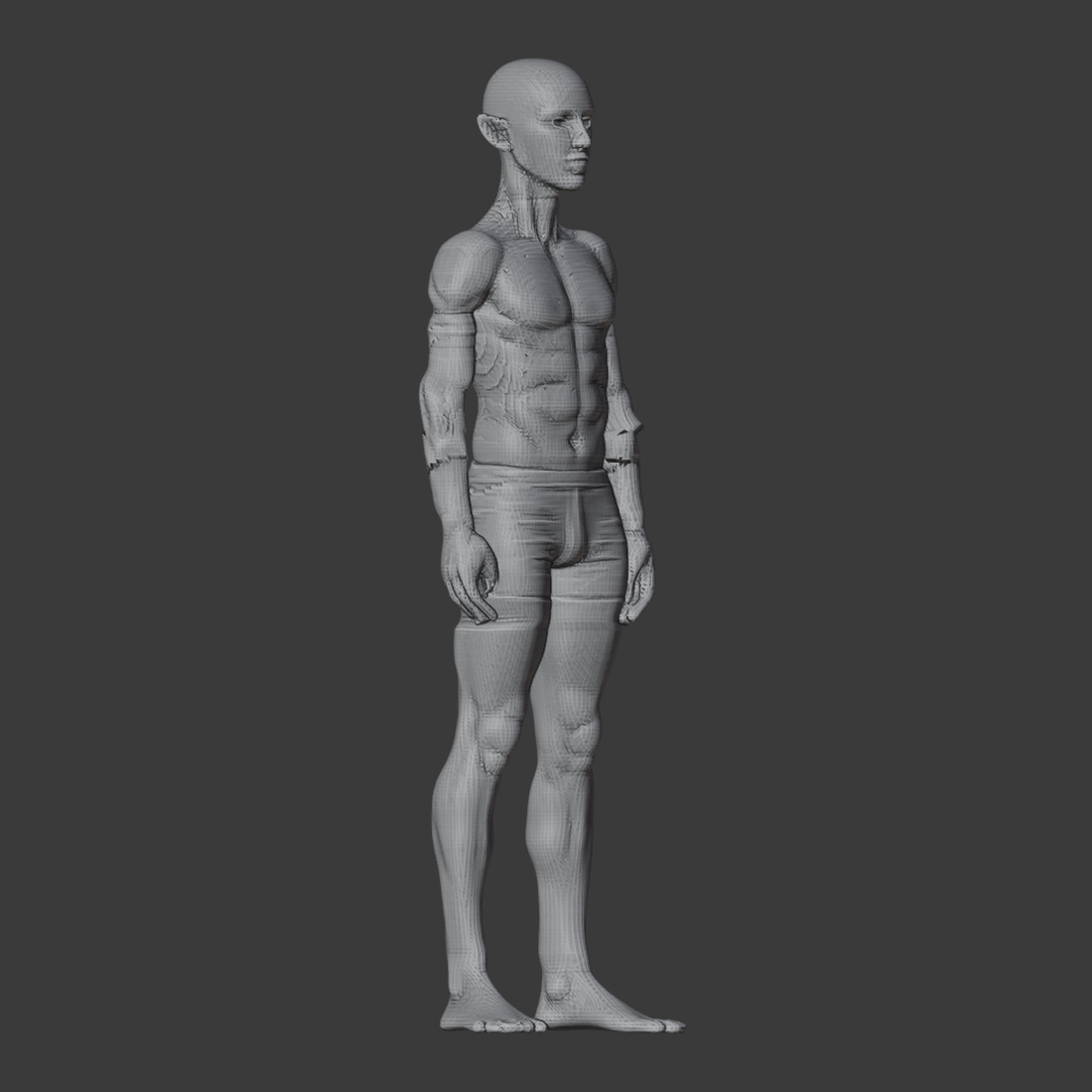 IDEAL_FOREARM_DOWN_az045.png