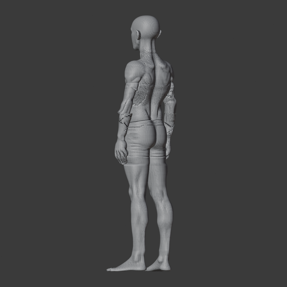 IDEAL_FOREARM_DOWN_az225.png