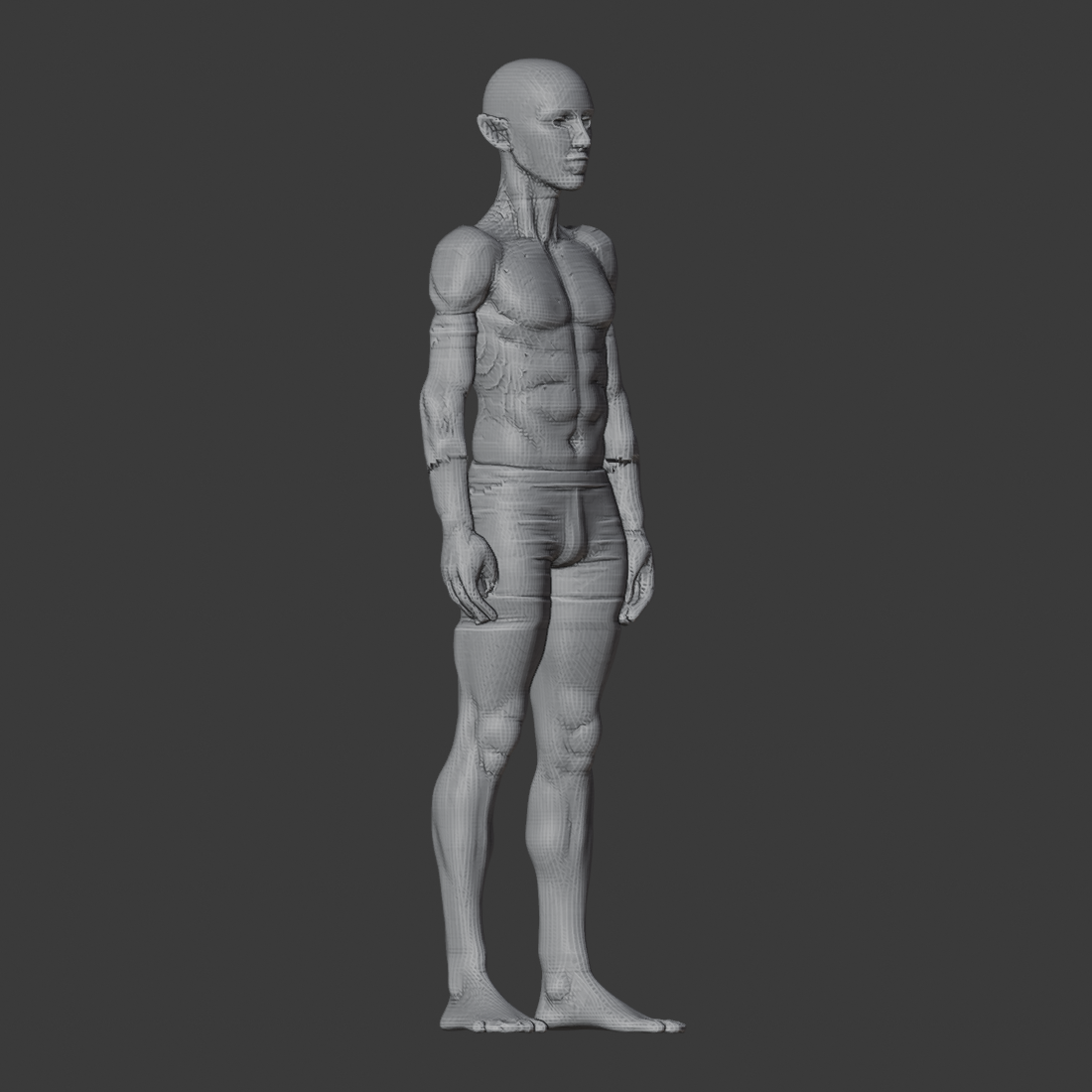 IDEAL_WHOLE_ARM_az045.png