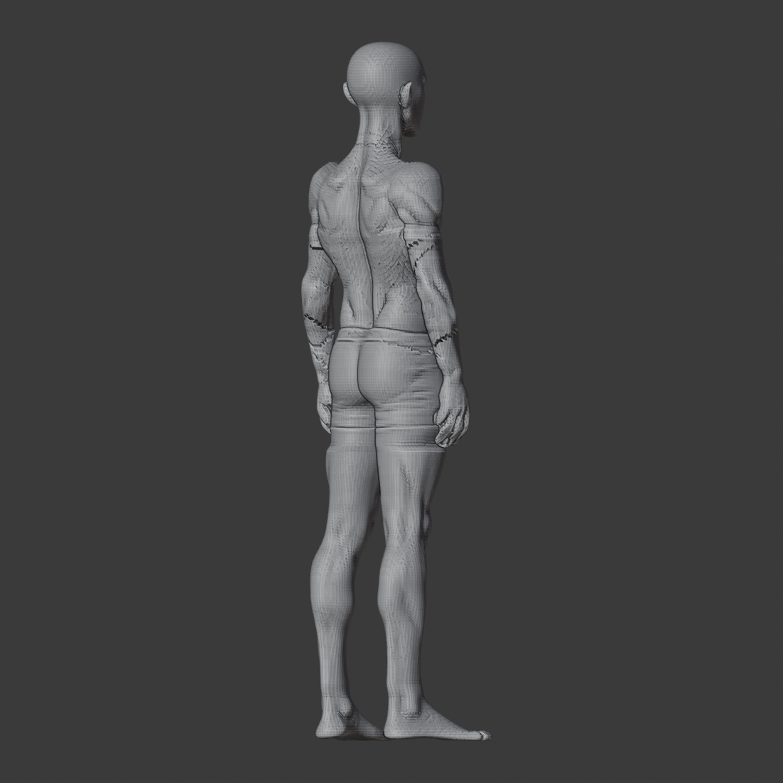 IDEAL_WHOLE_ARM_az135.png