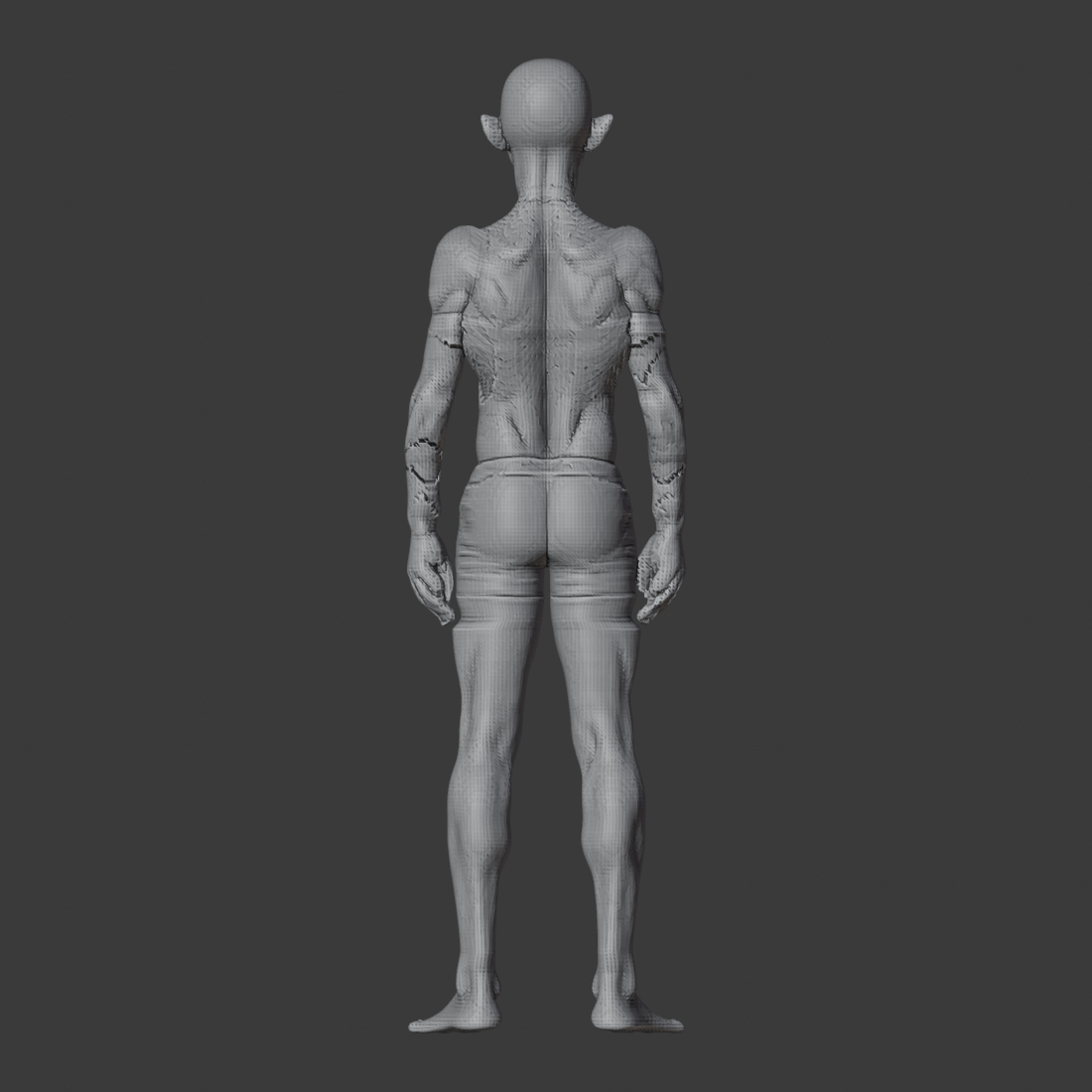 IDEAL_WHOLE_ARM_az180.png