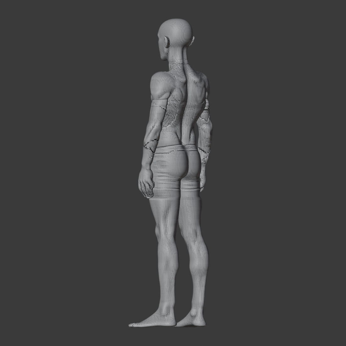 IDEAL_WHOLE_ARM_az225.png