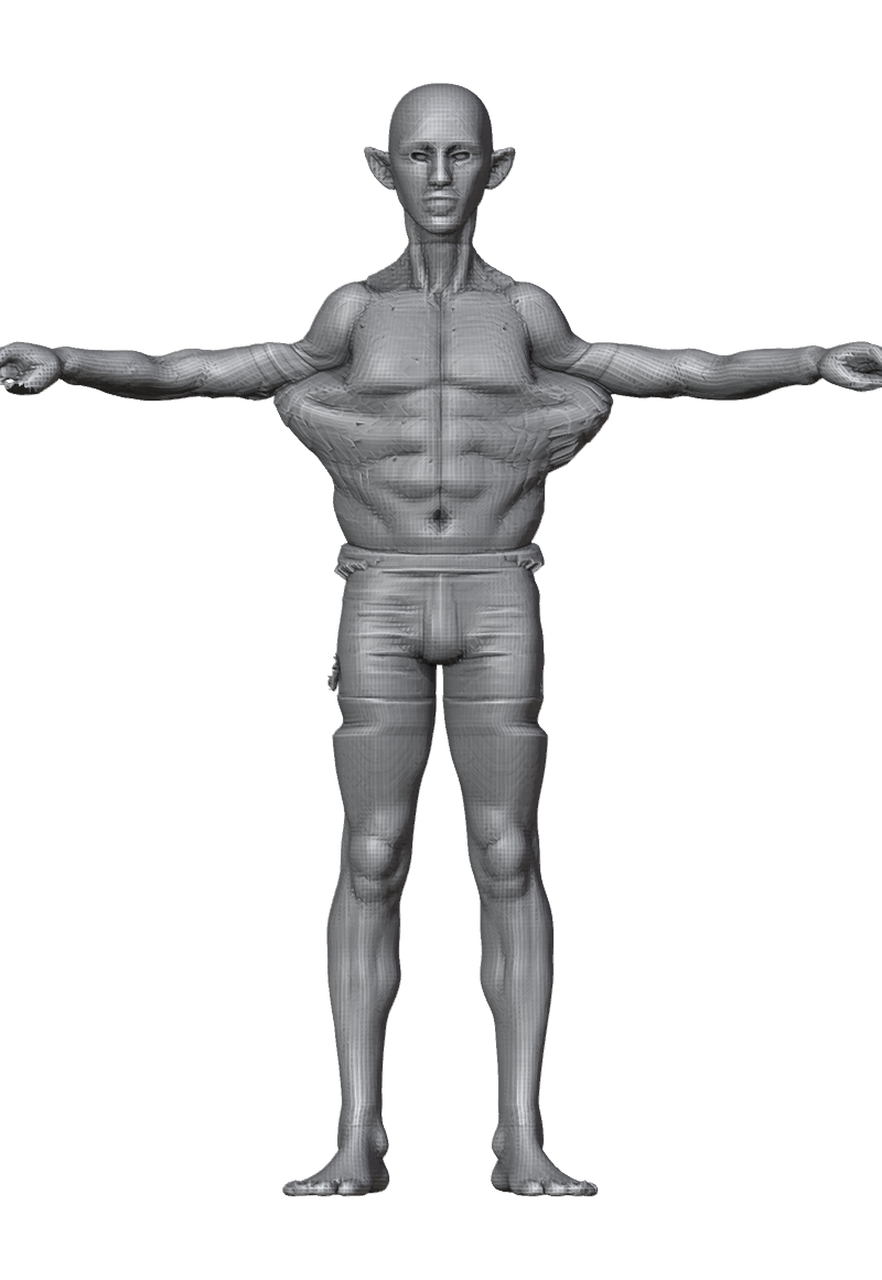 ROM_01_shoulder_abduct_front.png