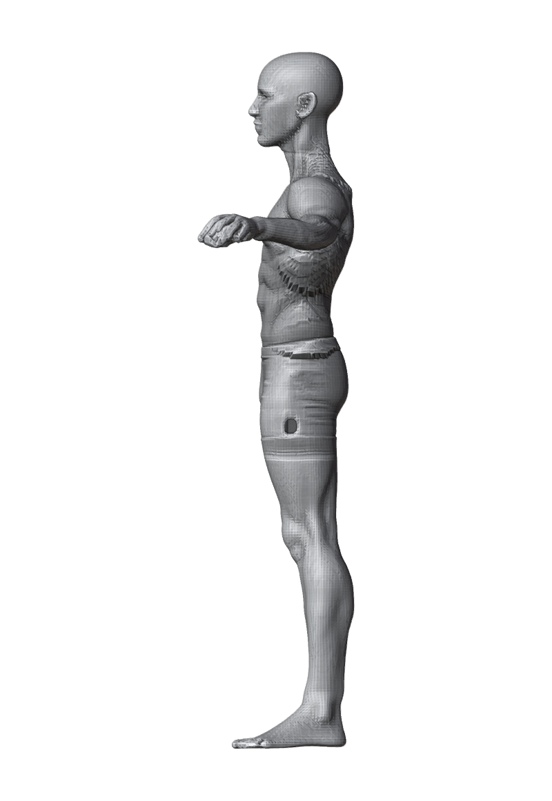 ROM_01_shoulder_abduct_side.png