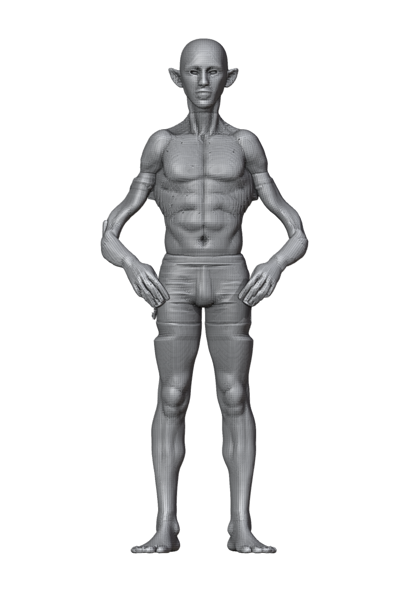 ROM_03_elbow_flex_front.png
