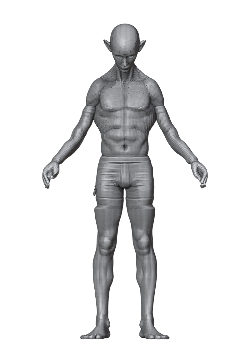 ROM_05_neck_pitch_front.png