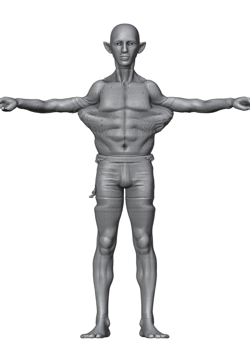 ROM_01_shoulder_abduct_front.png