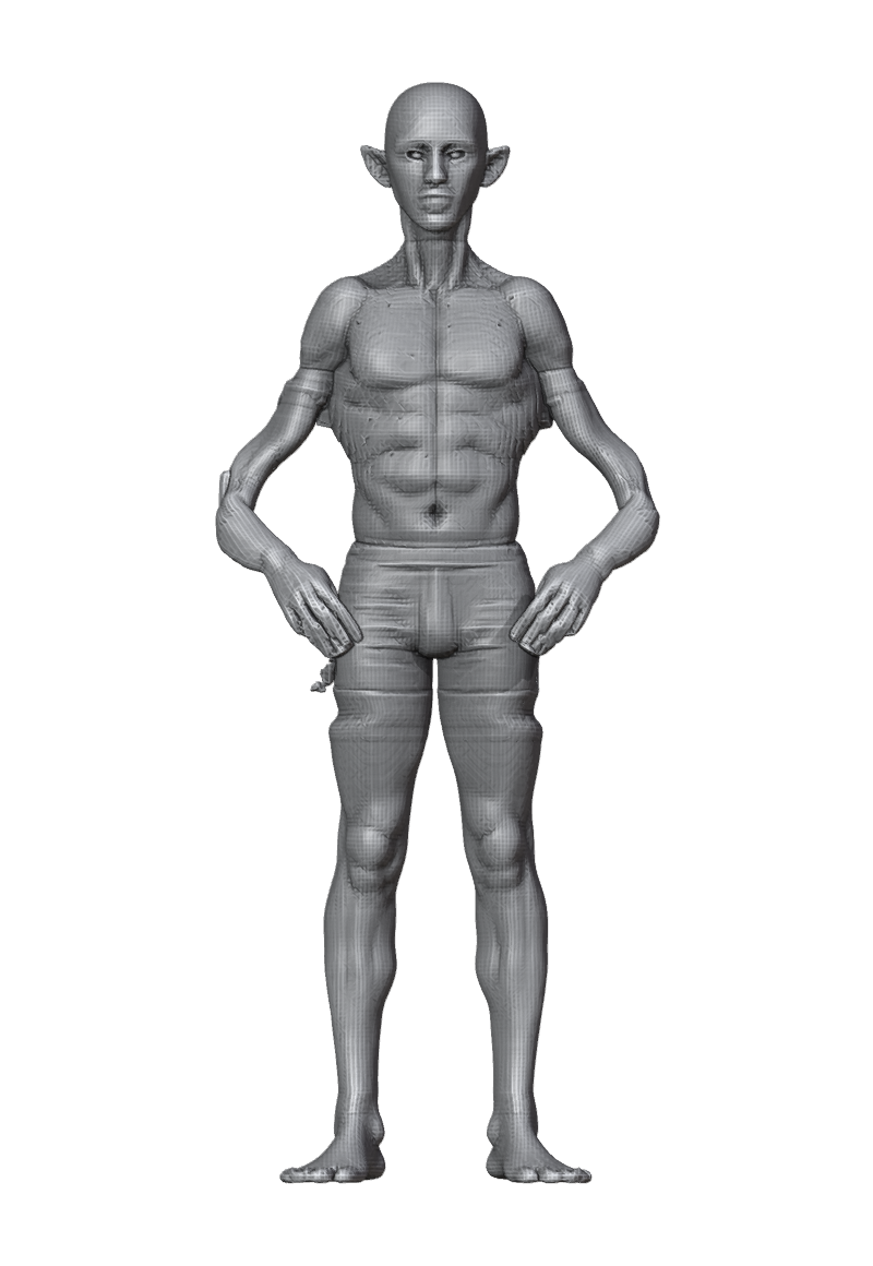 ROM_03_elbow_flex_front.png