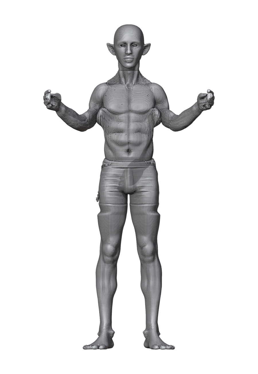 ROM_02_shoulder_raise_fwd_front.png