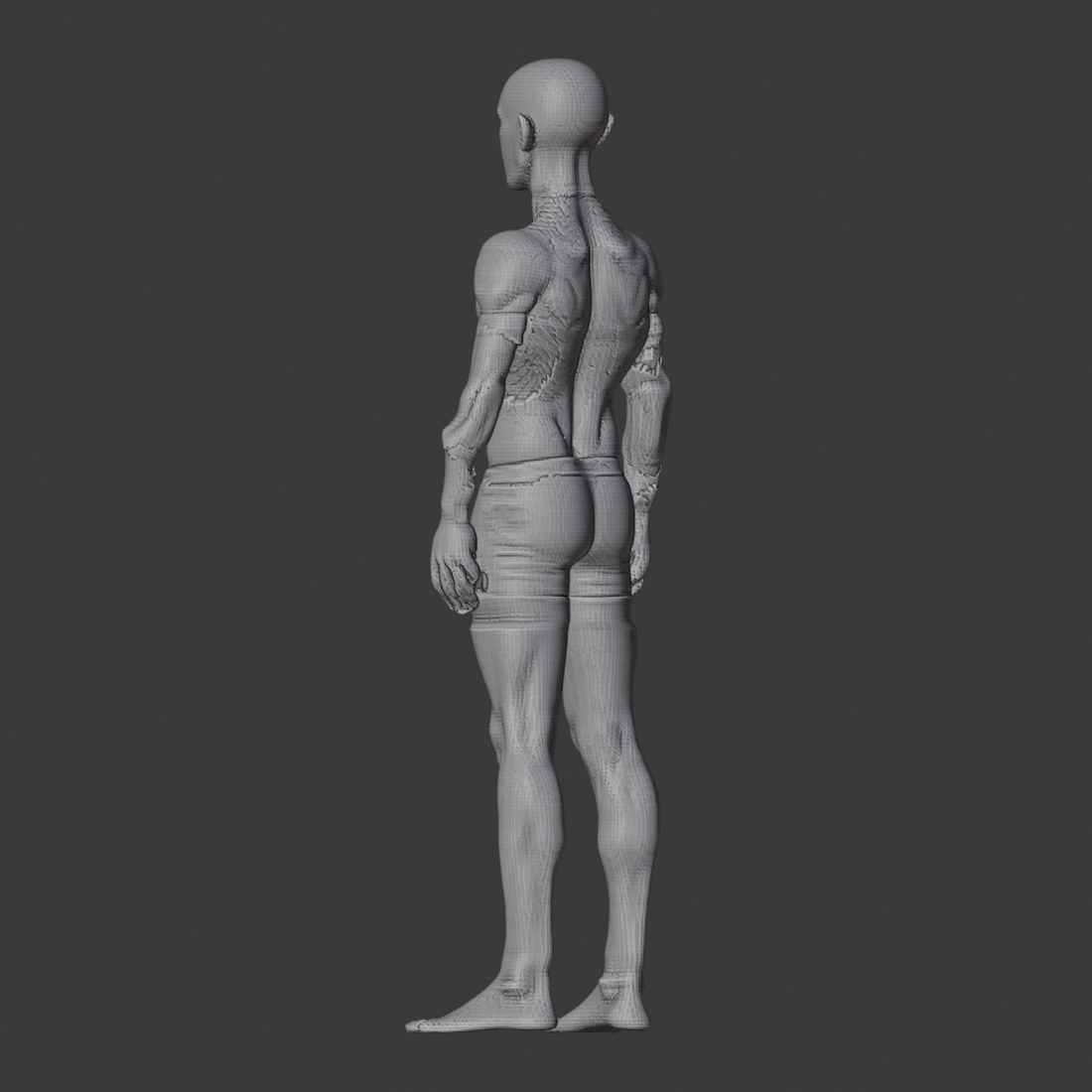V32_ROUNDTRIP_az225.png