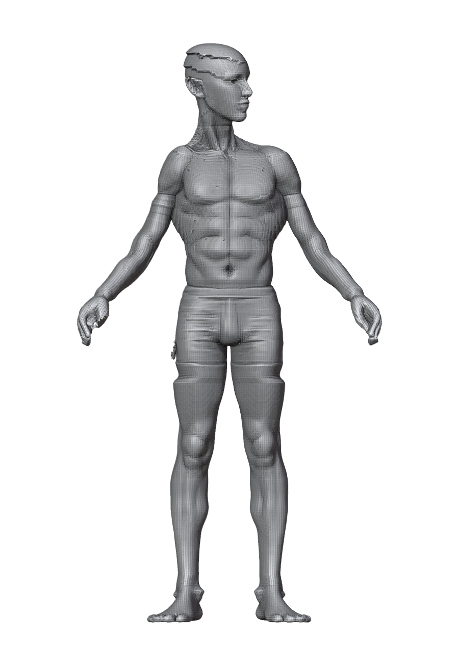 ROM_04_neck_yaw_front.png