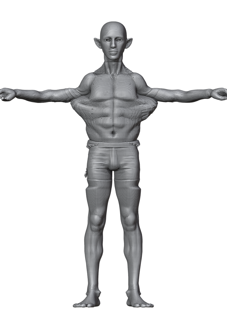 ROM_01_shoulder_abduct_front.png