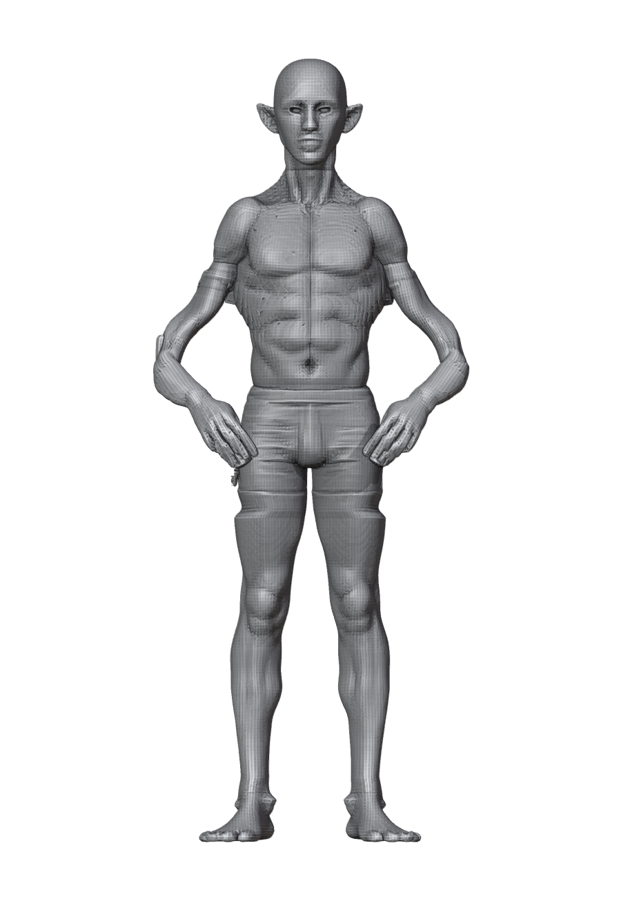 ROM_03_elbow_flex_front.png