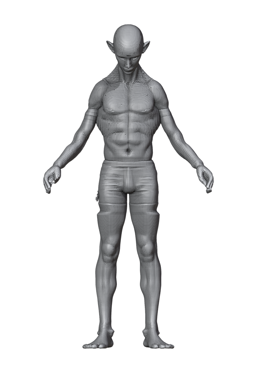 ROM_05_neck_pitch_front.png