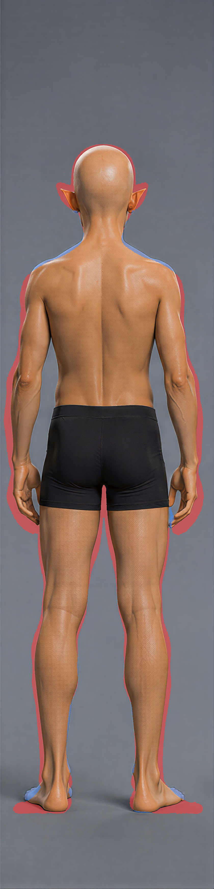 OVERLAY_back.png