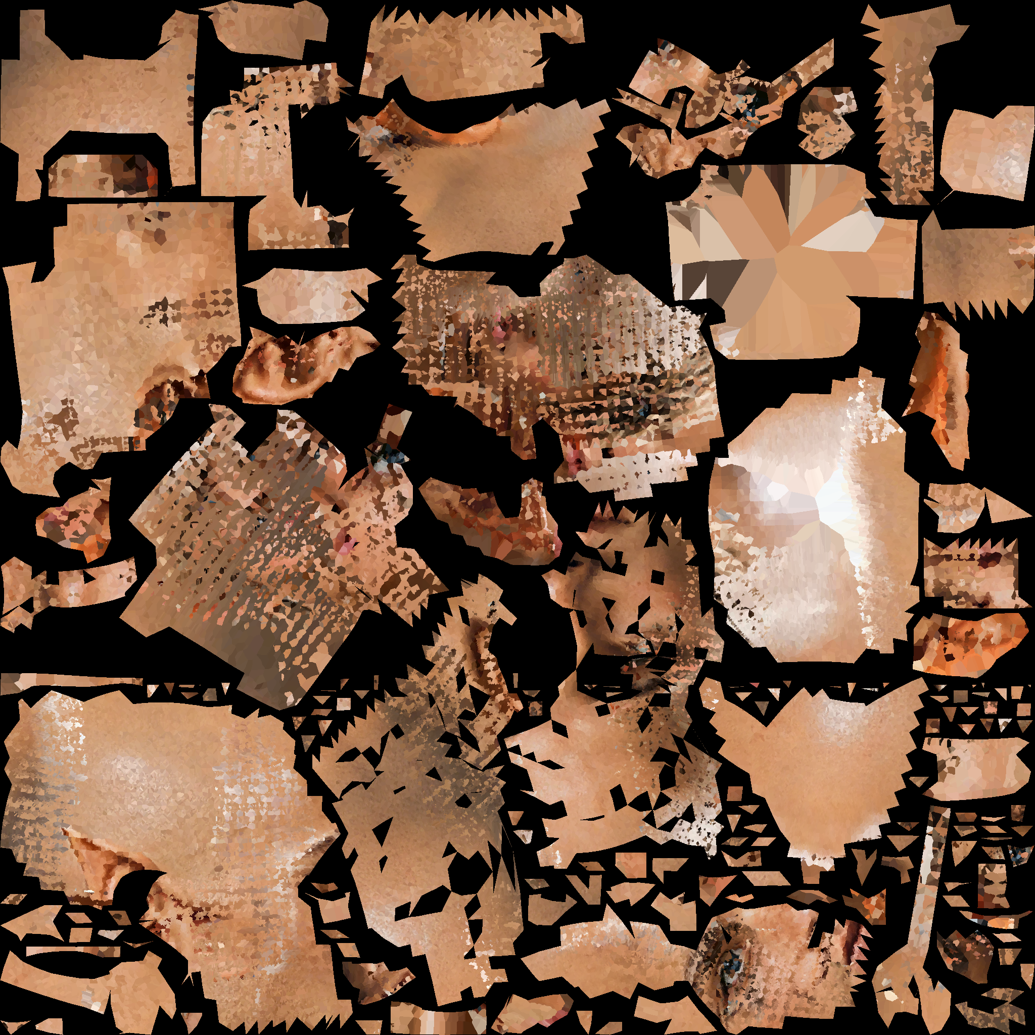 A14_BASECOLOR.1002.png