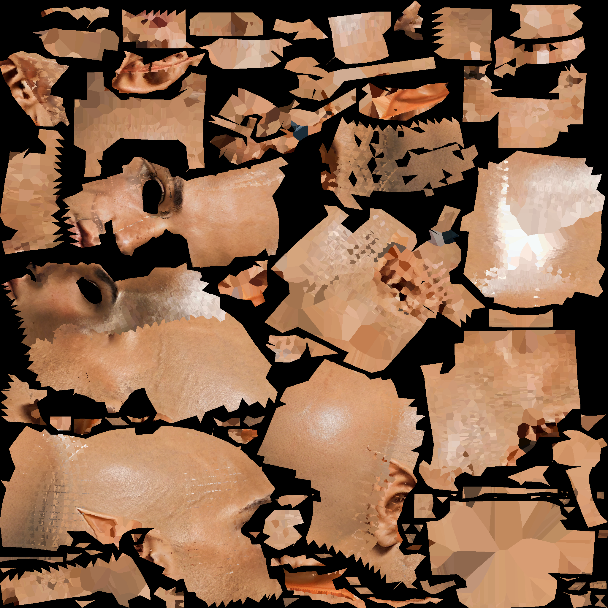 A14_BASECOLOR.1002.png