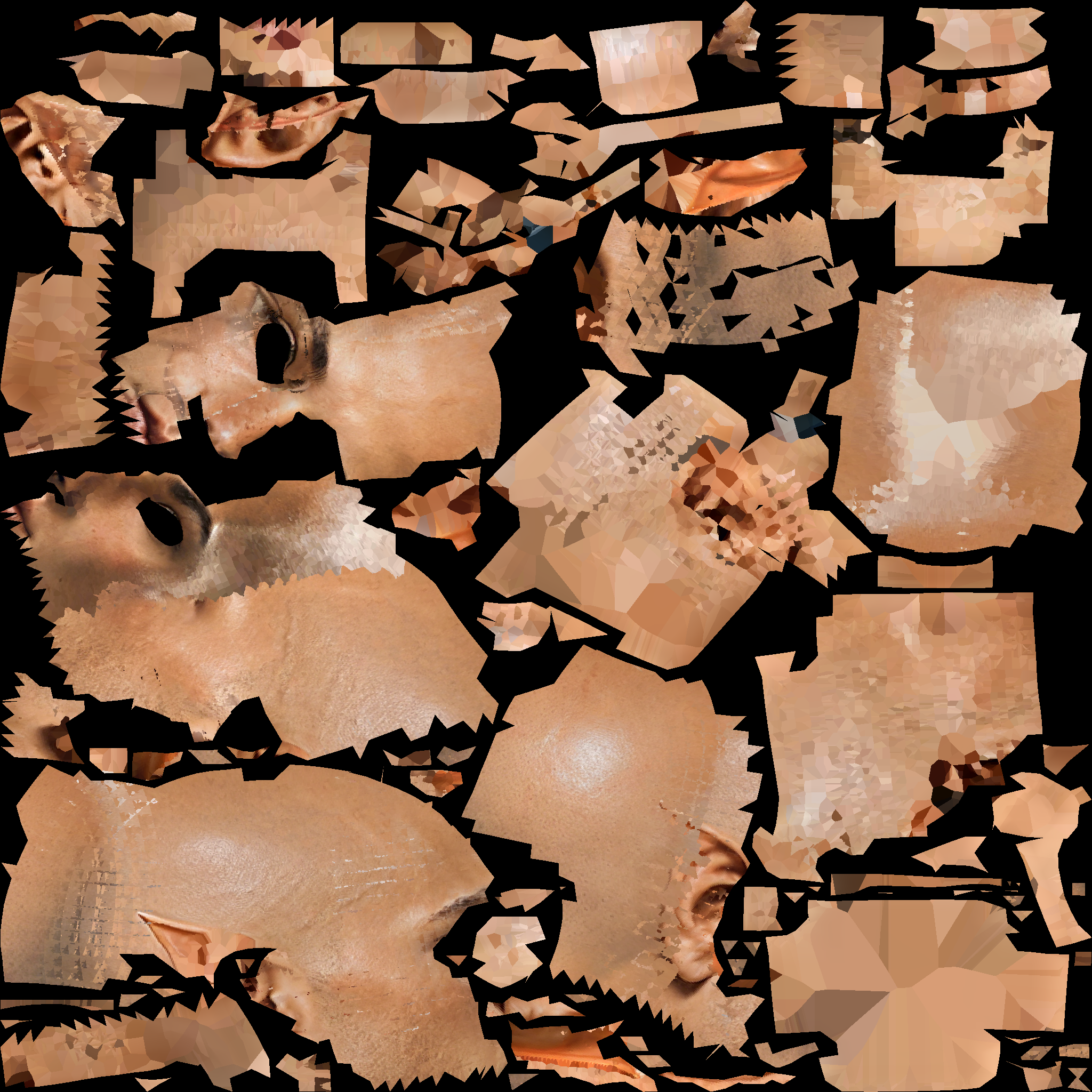 A14_BASECOLOR_DELIT.1002.png