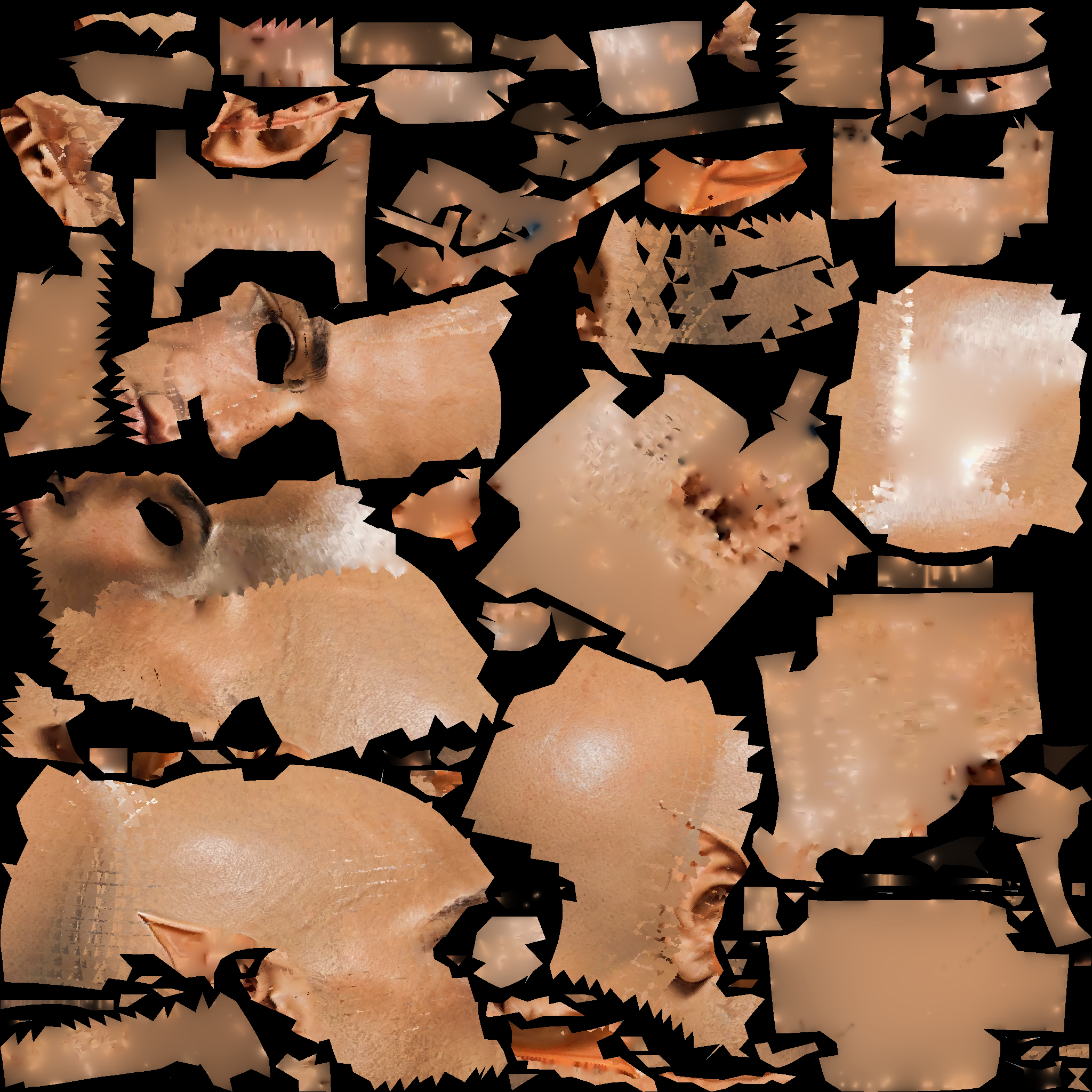 A14_BASECOLOR.1002.png