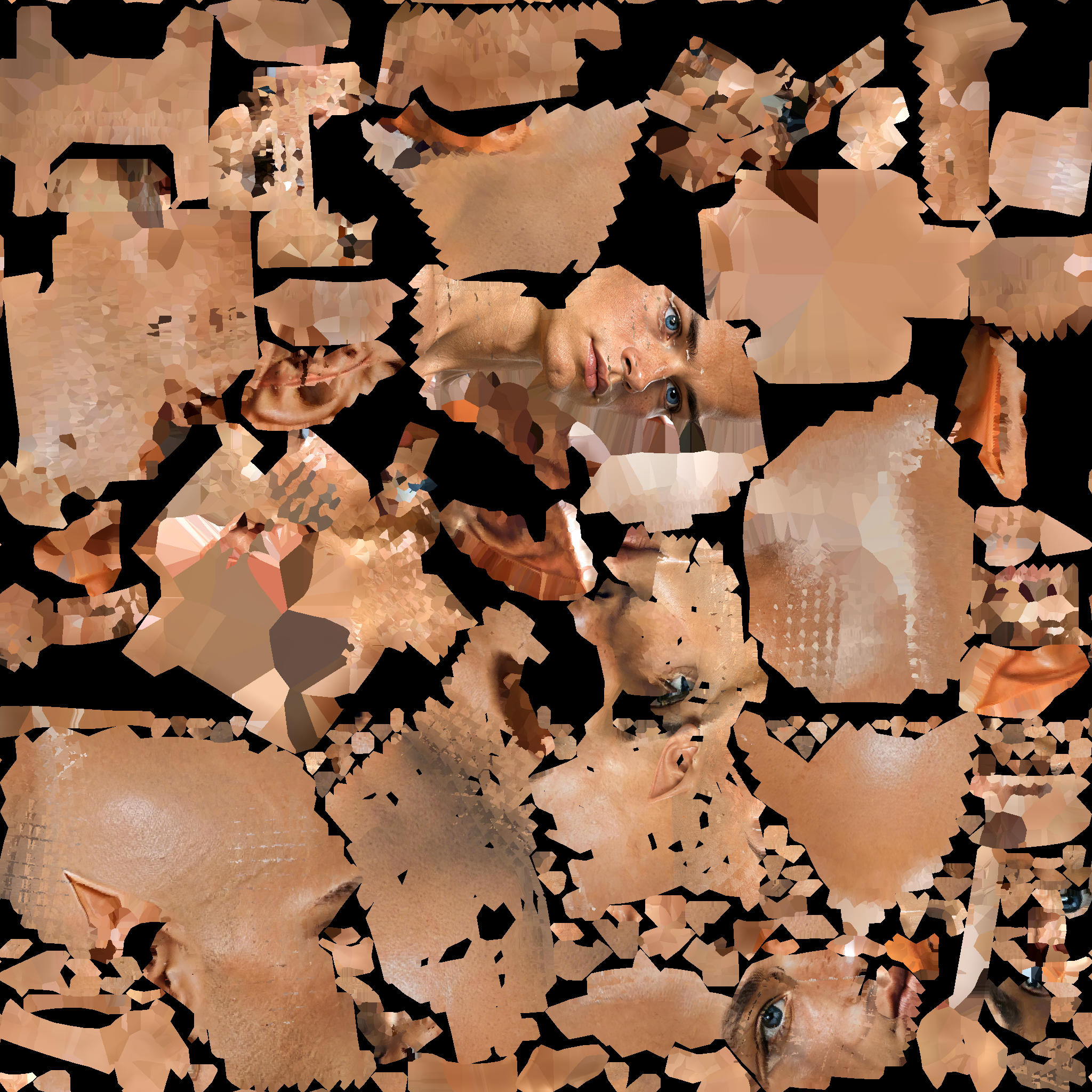 A14_BASECOLOR_DELIT.1002_PAD.png