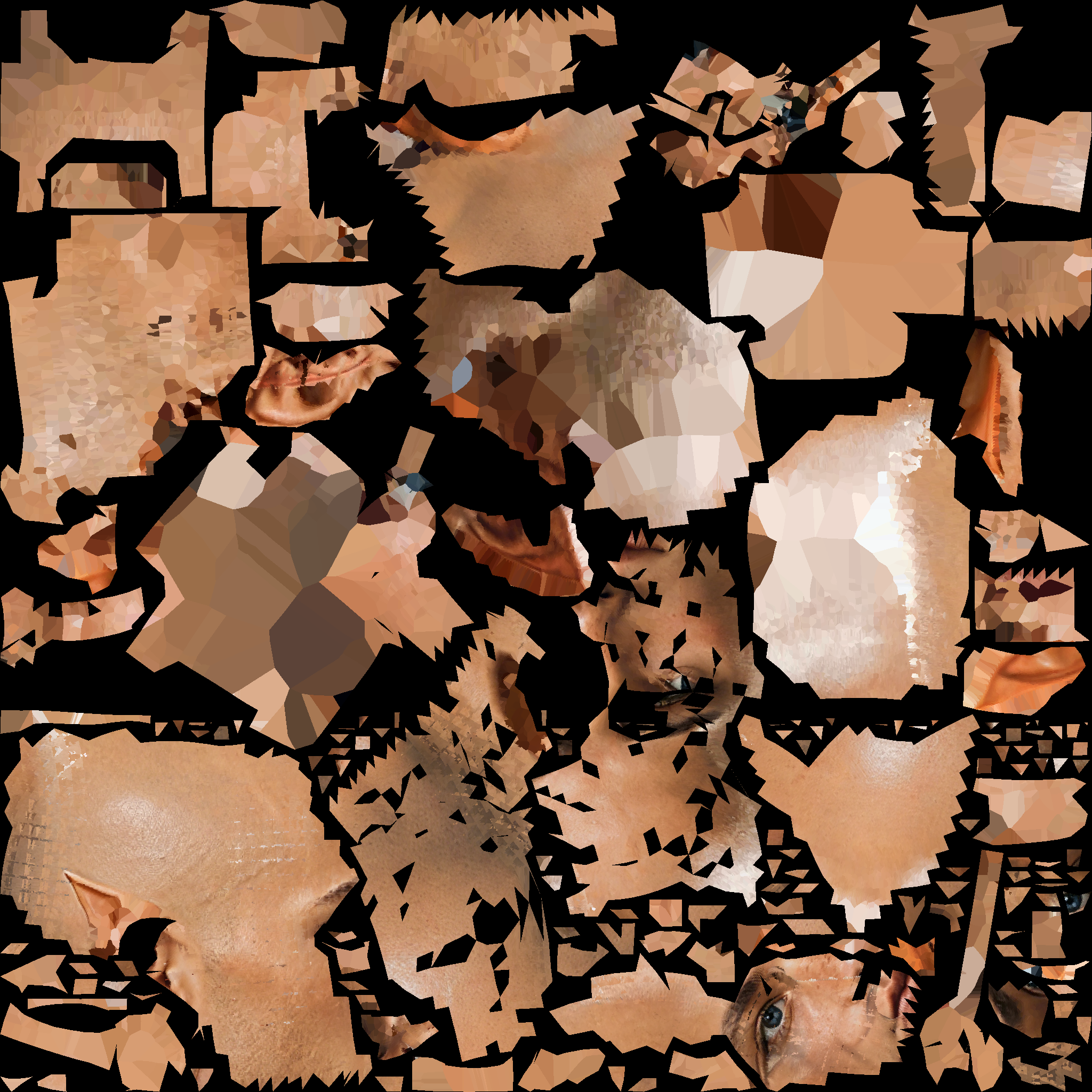 A14_BASECOLOR.1002.png