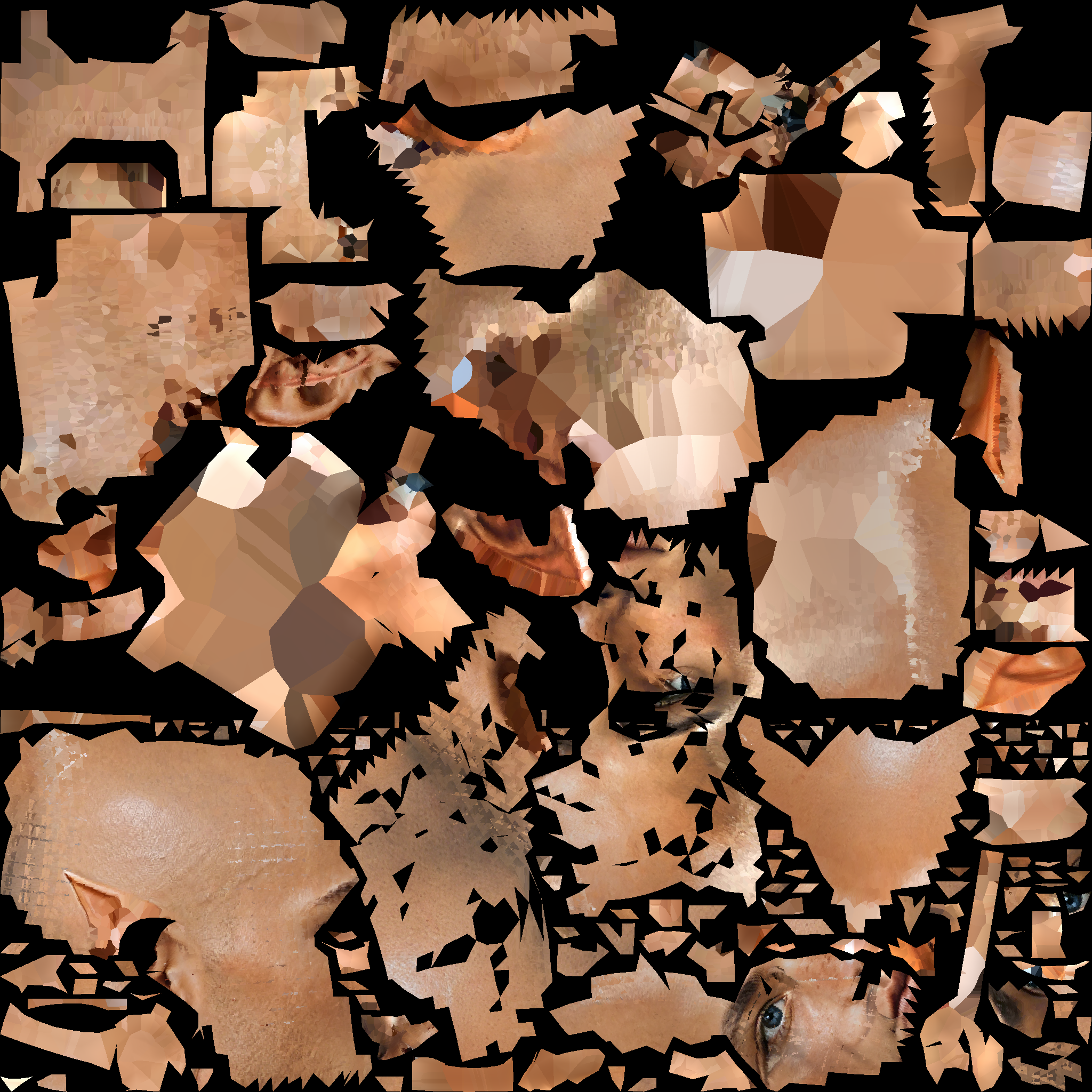 A14_BASECOLOR_DELIT.1002.png