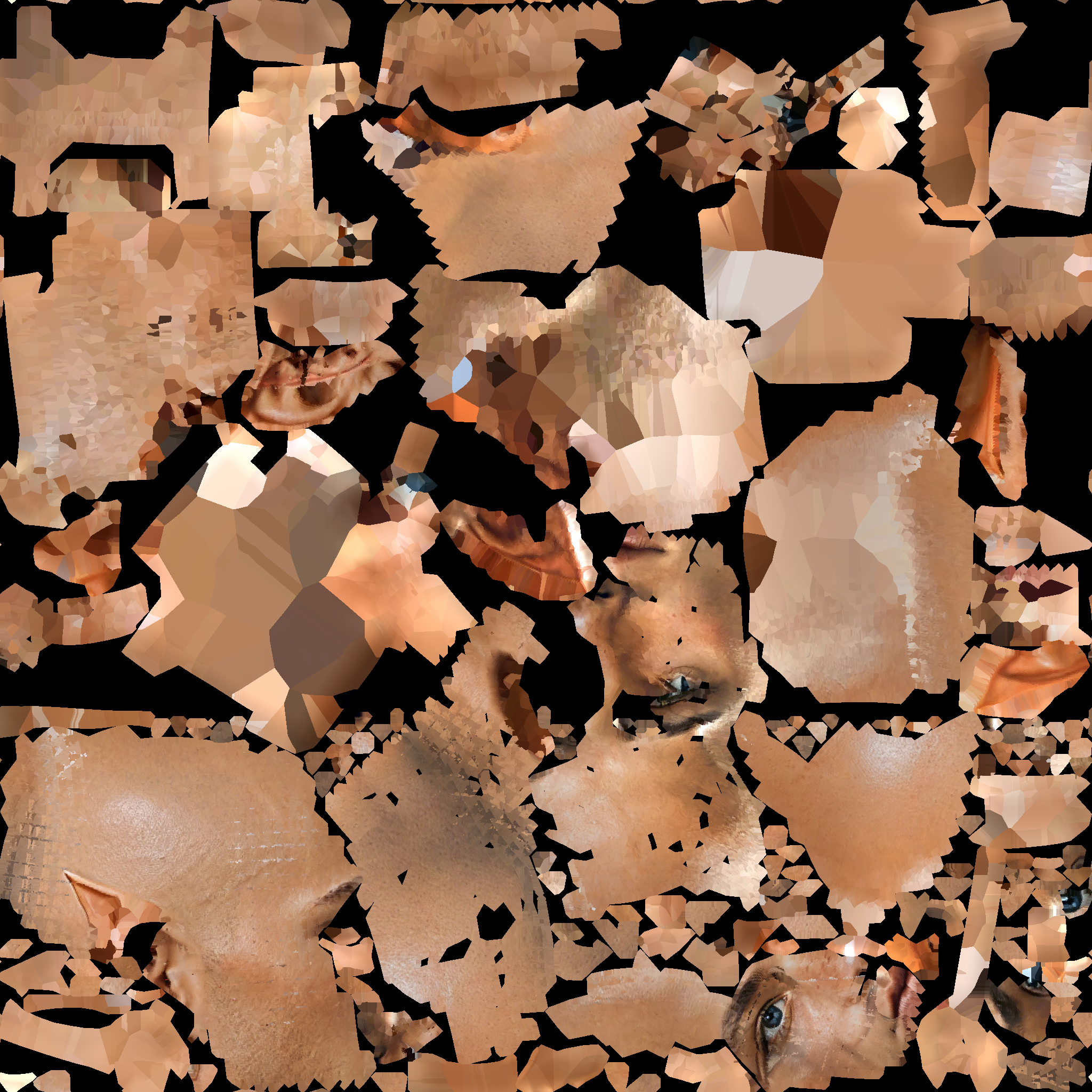 A14_BASECOLOR_DELIT.1002_PAD.png