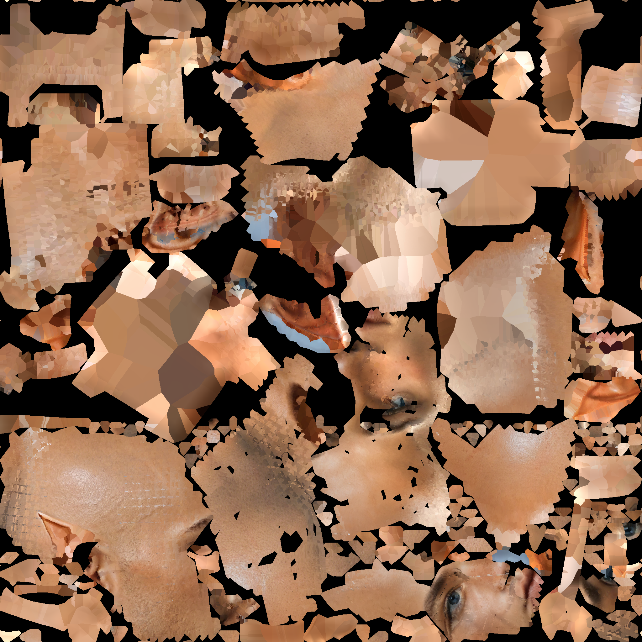 A14_BASECOLOR_DELIT.1002_PAD.png