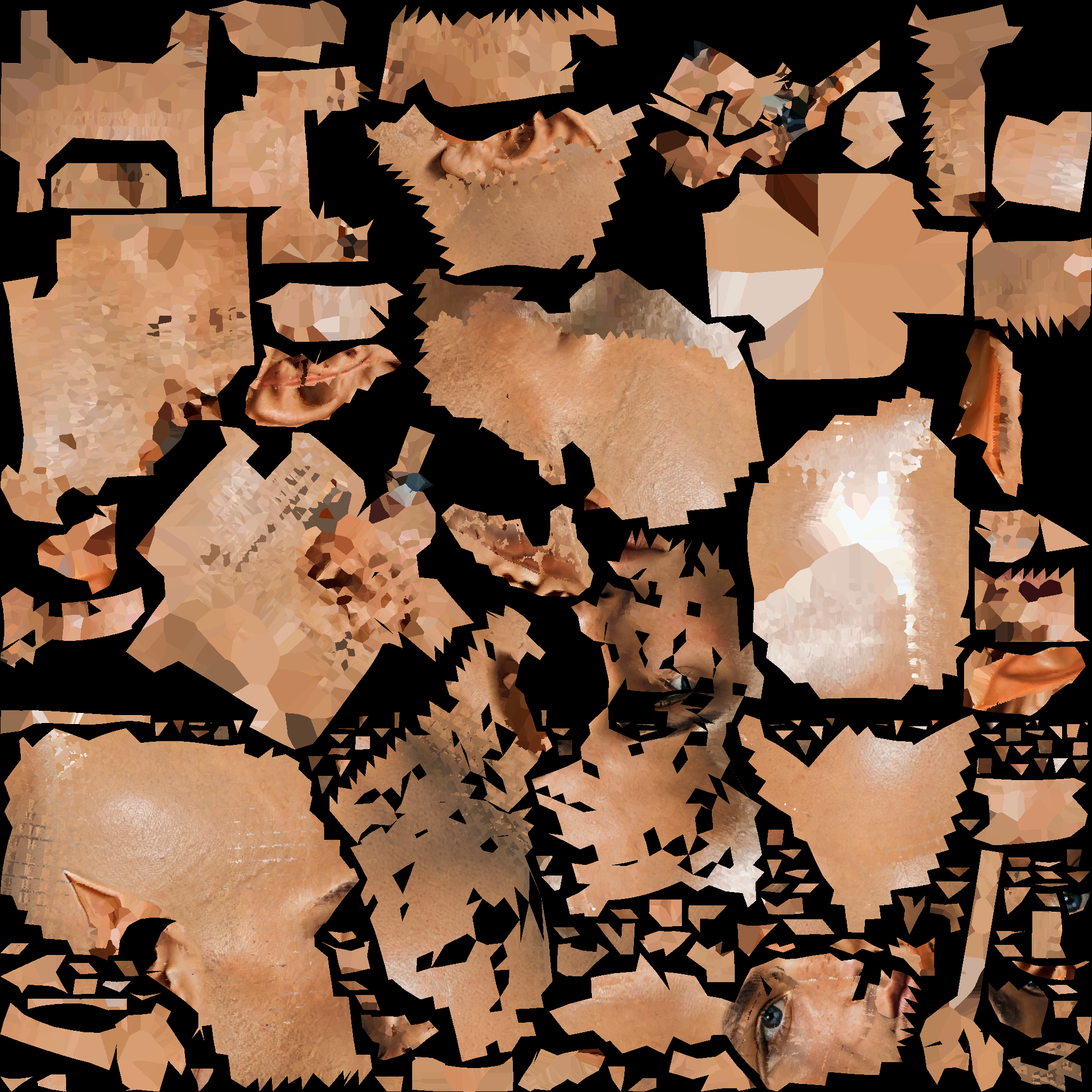 A14_BASECOLOR.1002.png