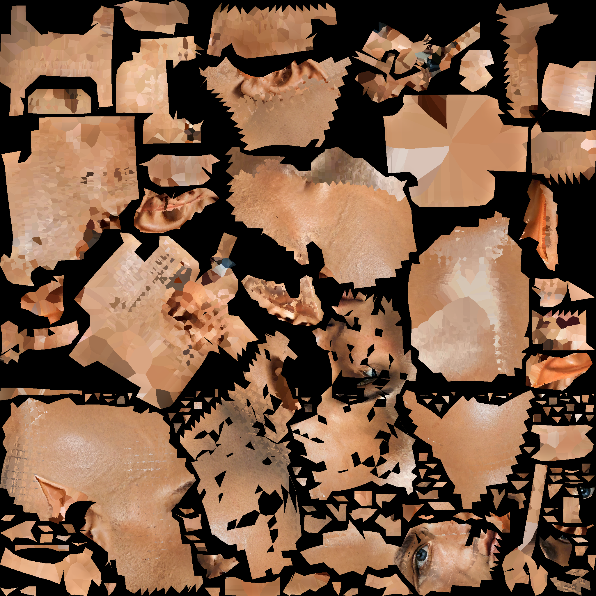 A14_BASECOLOR_DELIT.1002.png
