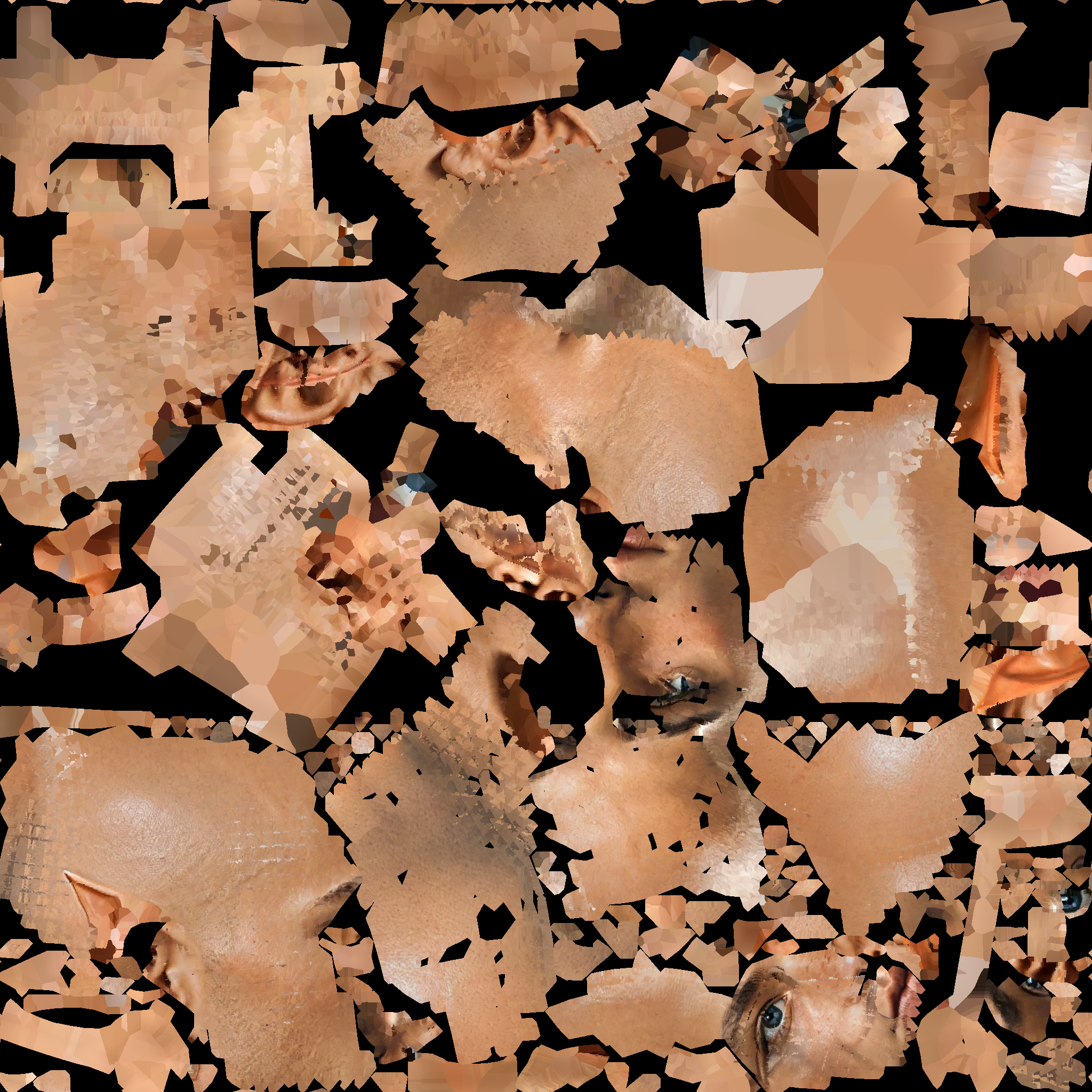 A14_BASECOLOR_DELIT.1002_PAD.png