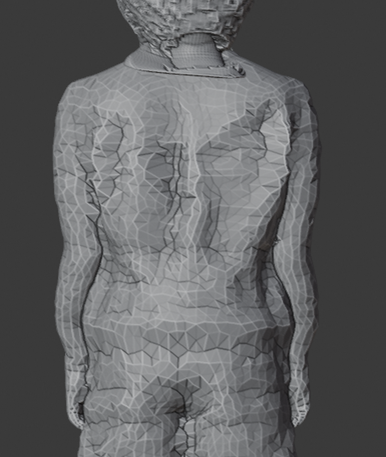 _zoom_torso_az180.png