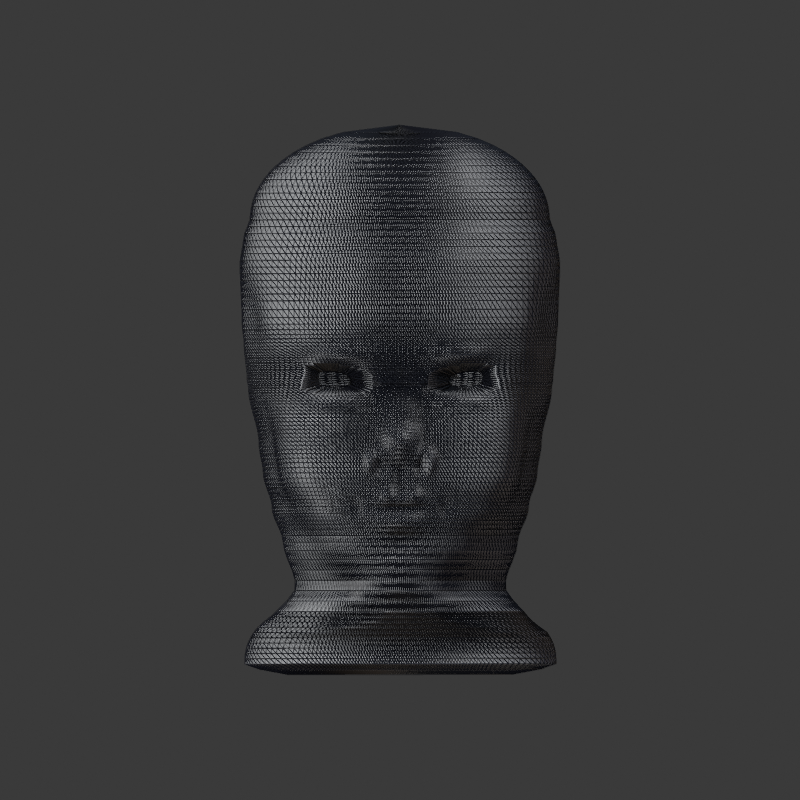 CAGE_SOURCE_wire_front.png