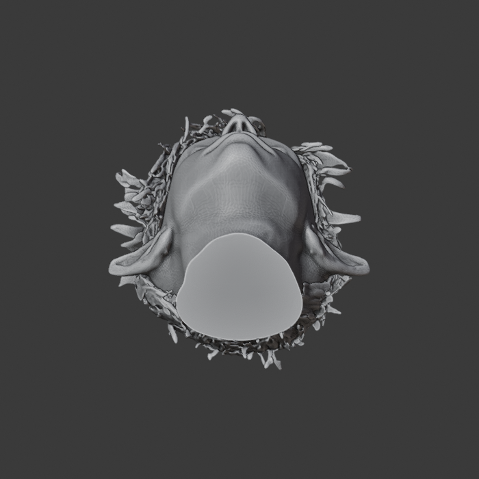 TARGET_A14_UNPINNED_back.png