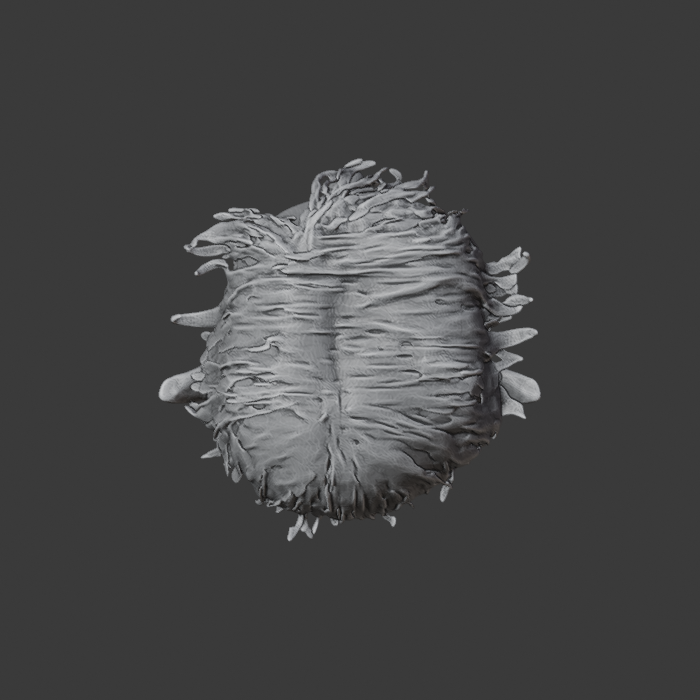 TARGET_A14_UNPINNED_front.png