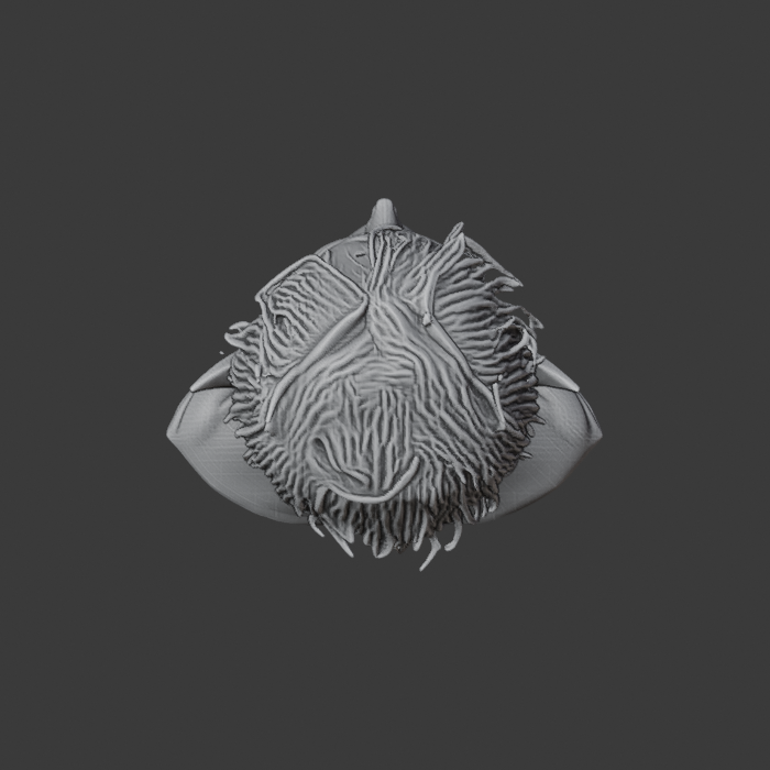 A18G_UNPINNED_front.png