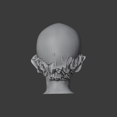 A14V2B_PINNED_back.png