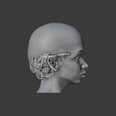 A14V2B_PINNED_side.png