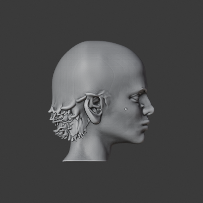 A16V2B_PINNED_side.png
