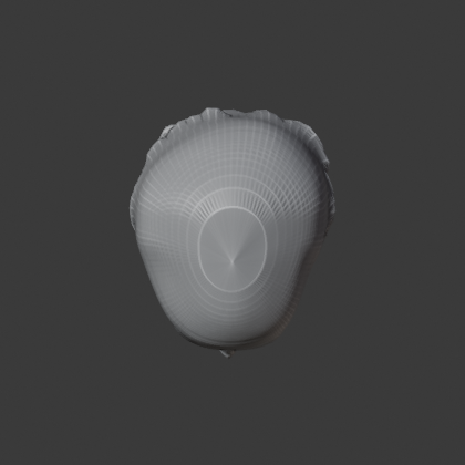 WRAP_A16_V2B_top.png