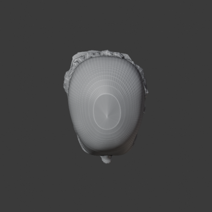 WRAP_A18_V2B_top.png